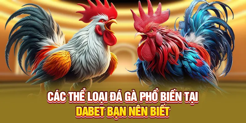 Các thể loại đá gà phổ biến tại Dabet bạn nên biết