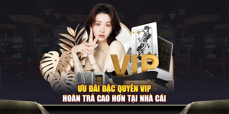 Ưu đãi đặc quyền VIP hoàn trả cao hơn tại nhà cái